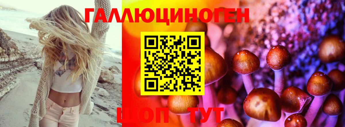 Урус-Мартан  Псилоцибиновые грибы Psilocybine cubensis  Галлюциногенные грибы мухоморы  Вход с VPN 